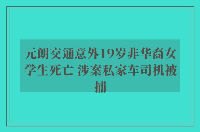 元朗交通意外19岁非华裔女学生死亡 涉案私家车司机被捕