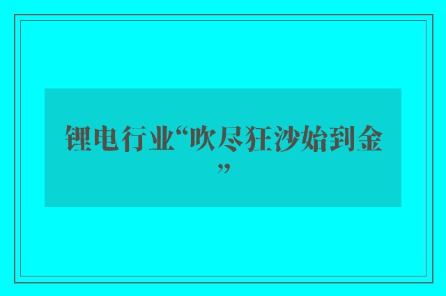 锂电行业“吹尽狂沙始到金”