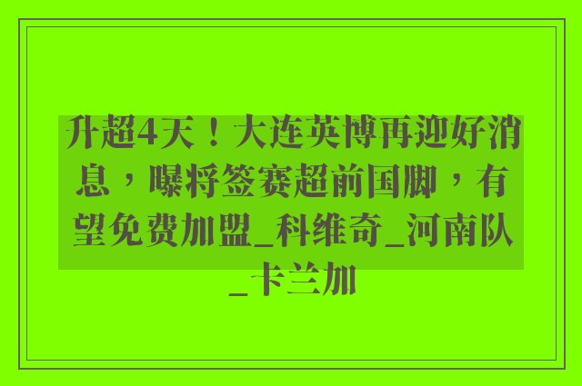 升超4天！大连英博再迎好消息，曝将签赛超前国脚，有望免费加盟_科维奇_河南队_卡兰加