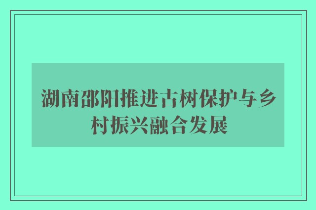 湖南邵阳推进古树保护与乡村振兴融合发展