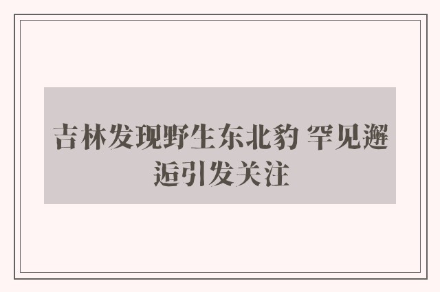 吉林发现野生东北豹 罕见邂逅引发关注