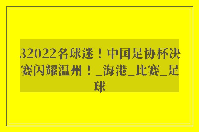 32022名球迷！中国足协杯决赛闪耀温州！_海港_比赛_足球