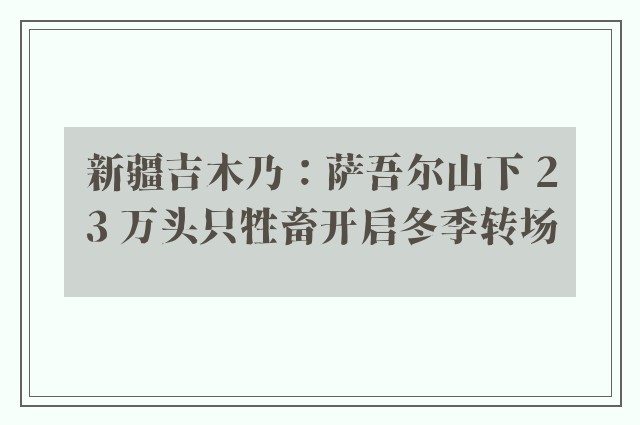 新疆吉木乃：萨吾尔山下 23 万头只牲畜开启冬季转场