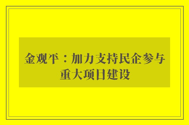 金观平：加力支持民企参与重大项目建设