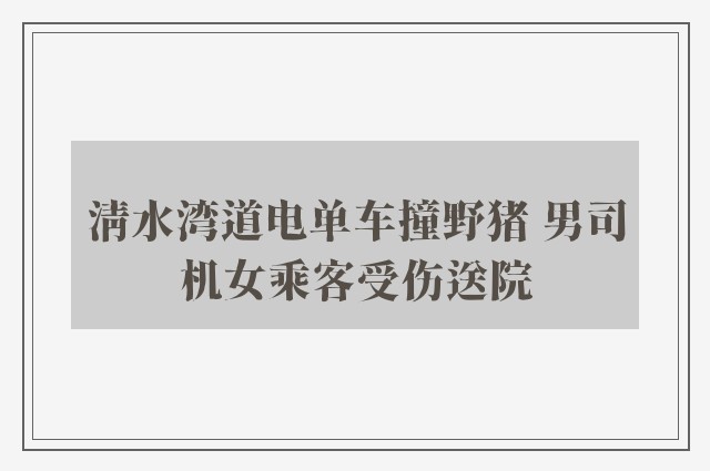 清水湾道电单车撞野猪 男司机女乘客受伤送院