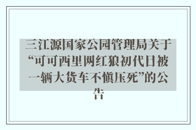 三江源国家公园管理局关于“可可西里网红狼初代目被一辆大货车不慎压死”的公告