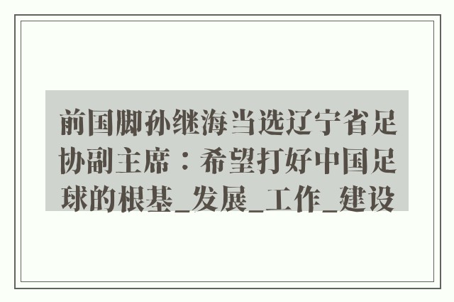 前国脚孙继海当选辽宁省足协副主席：希望打好中国足球的根基_发展_工作_建设