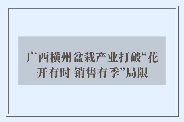 广西横州盆栽产业打破“花开有时 销售有季”局限