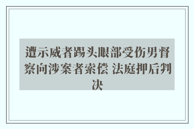 遭示威者踢头眼部受伤男督察向涉案者索偿 法庭押后判决